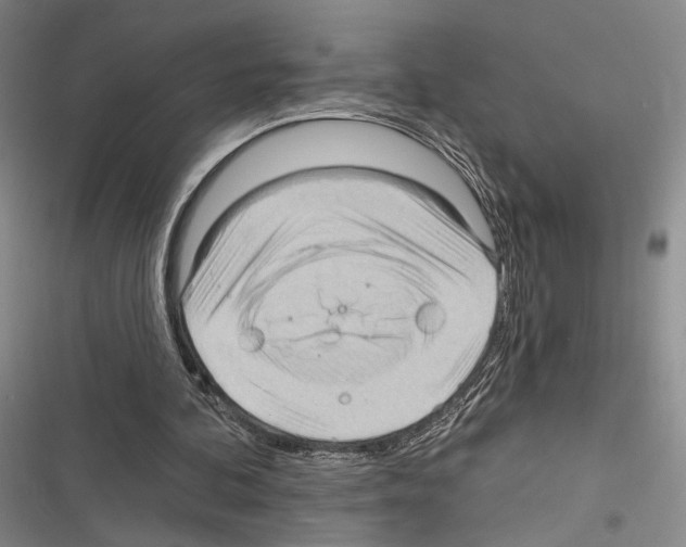 X0000116320292201001131009