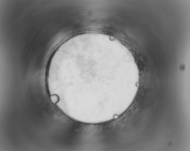 X0000116320293201001131009