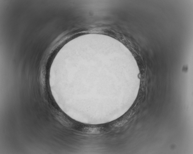 X0000116320295201001131009