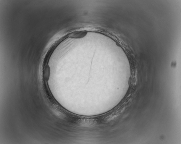 X0000116320296201001131009