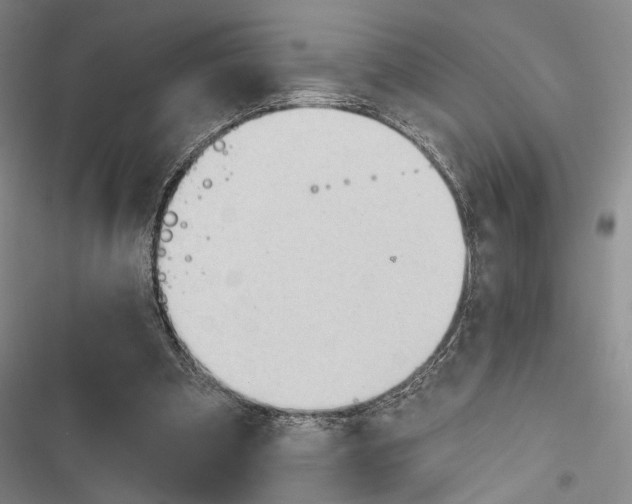 X0000116320297201001131009