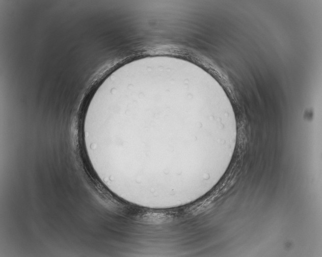 X0000116320298201001131009