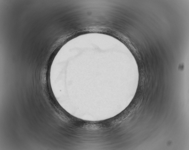 X0000116320299201001131009