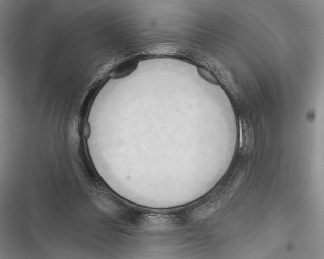 X0000116320300201001131009