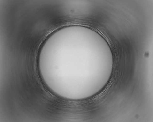 X0000116320301201001131009