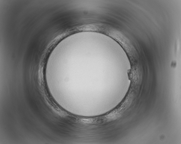 X0000116320302201001131009