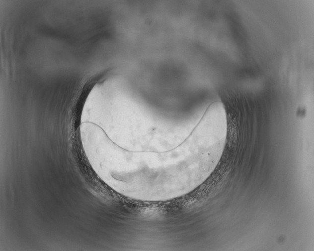 X0000116320303201001131009