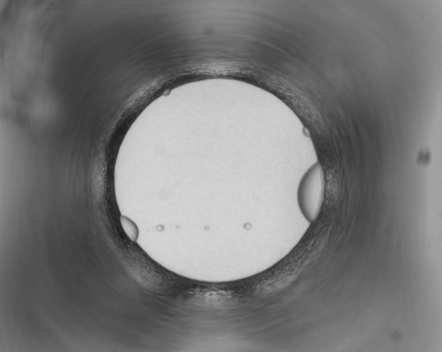 X0000116320304201001131009