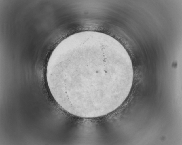 X0000116320305201001131009