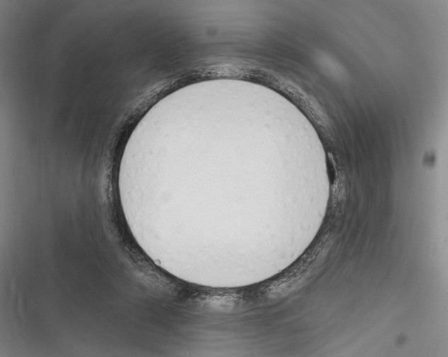 X0000116320306201001131009