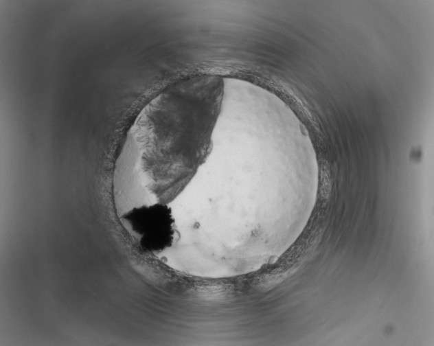 X0000116320307201001131009