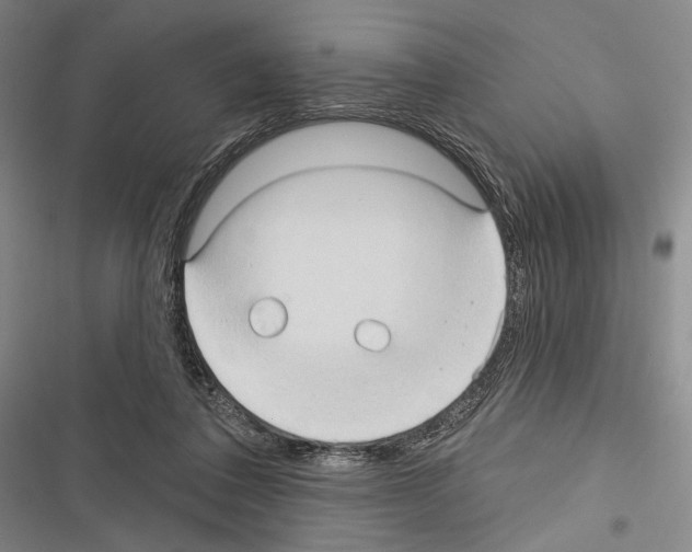 X0000116320308201001131009