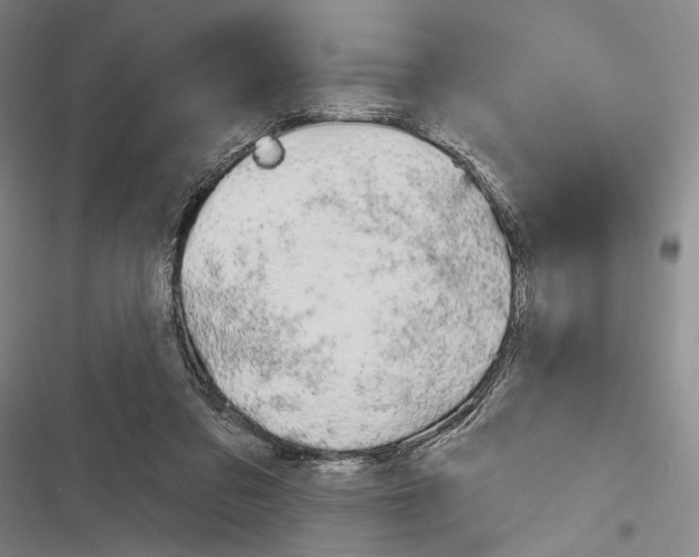 X0000116320309201001131009