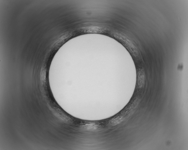 X0000116320310201001131009