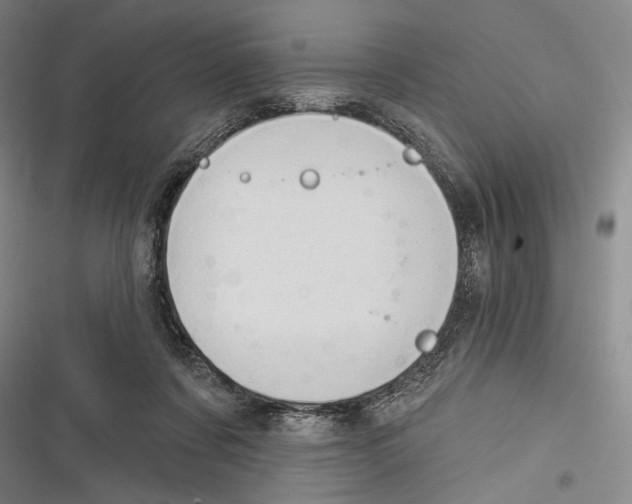 X0000116320311201001131009