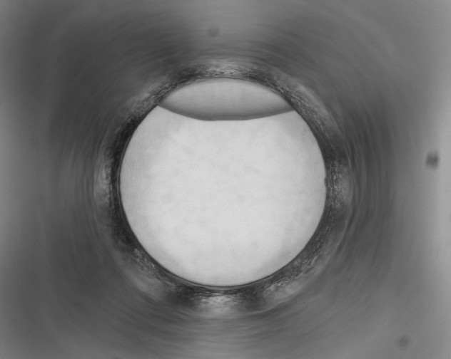 X0000116320312201001131009