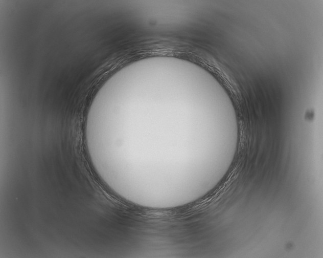 X0000116320313201001131009