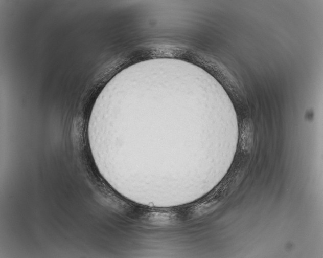 X0000116320314201001131009