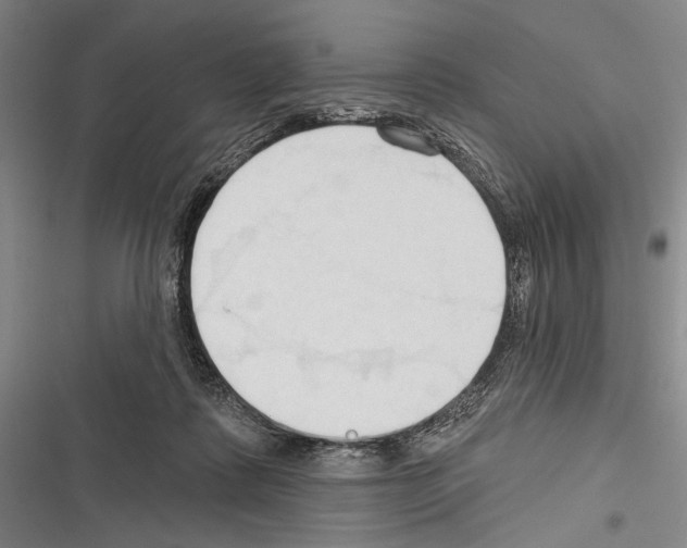 X0000116320315201001131009