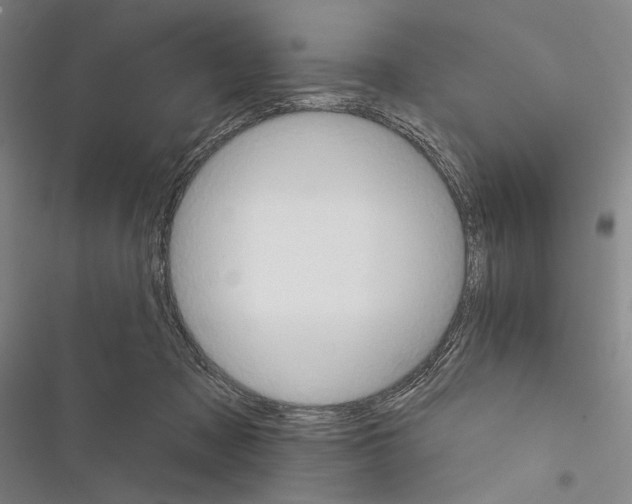 X0000116320317201001131009