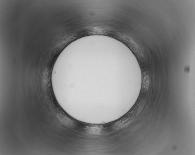 X0000116320318201001131009