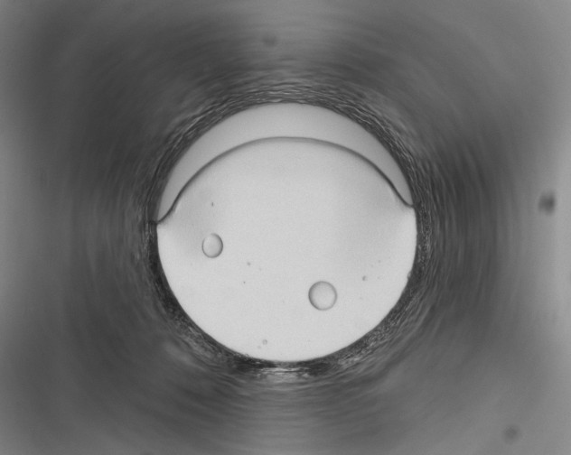 X0000116320320201001131009