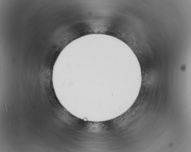 X0000116320321201001131009