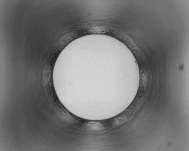 X0000116320322201001131009