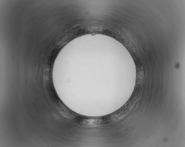 X0000116320323201001131009