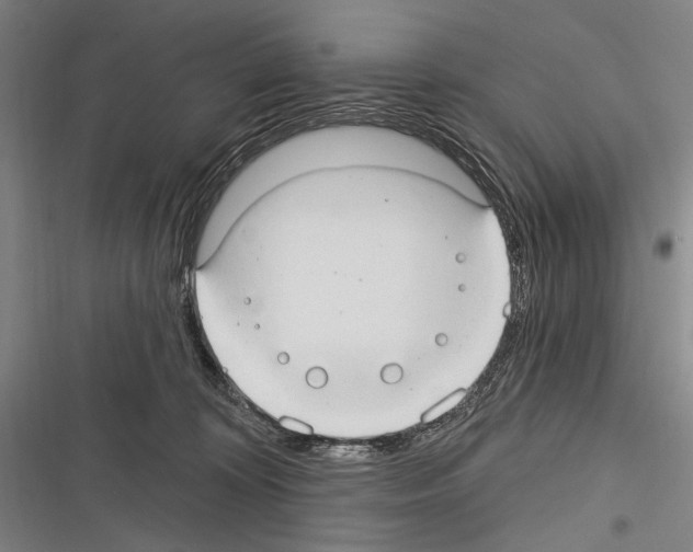 X0000116320324201001131009