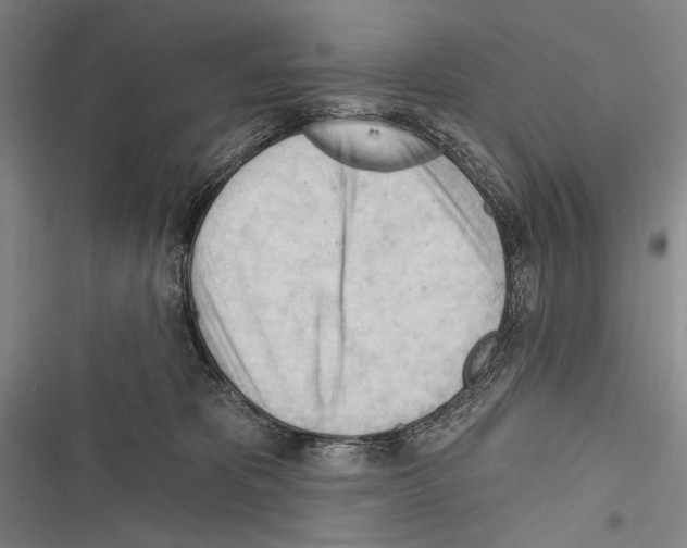 X0000116320325201001131009