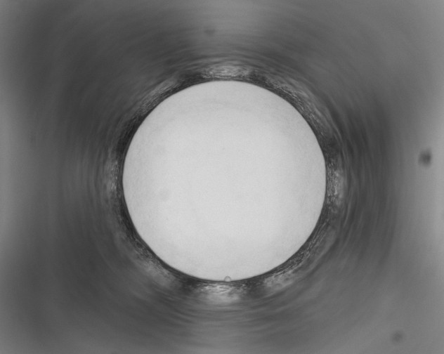 X0000116320326201001131009