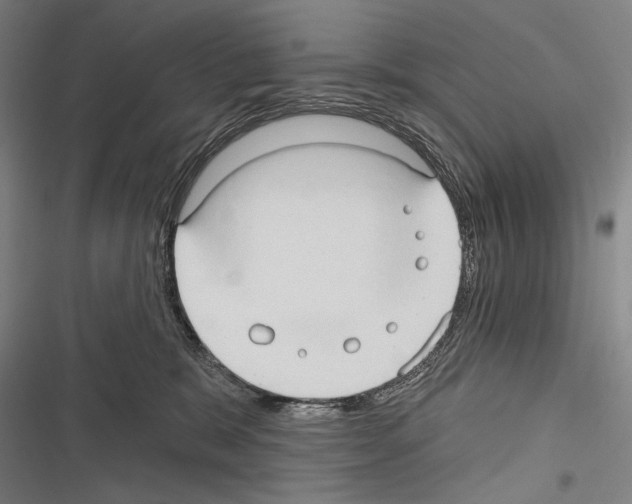 X0000116320327201001131009