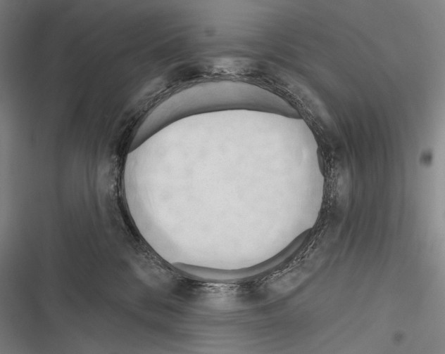 X0000116320328201001131009