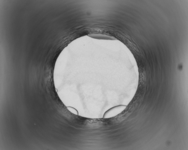 X0000116320331201001131009