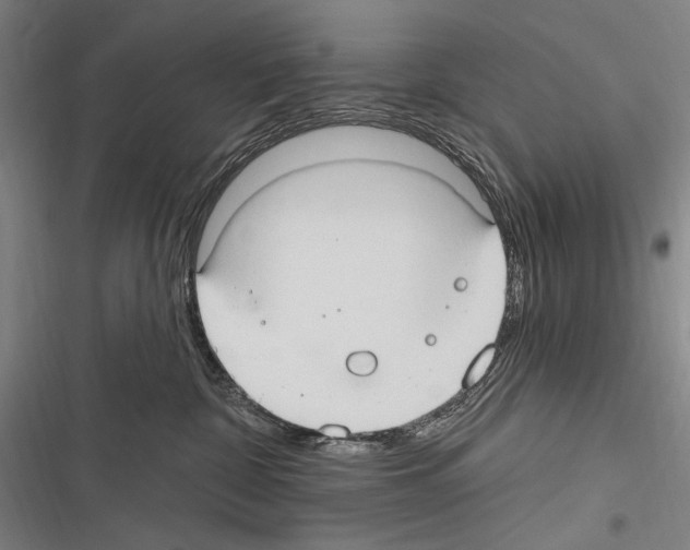 X0000116320332201001131009