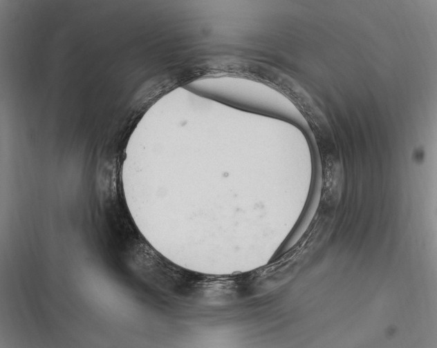 X0000116320333201001131009