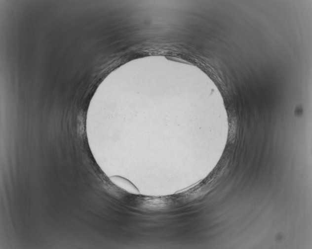 X0000116320335201001131008