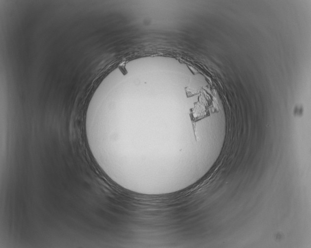 X0000116320336201001131008