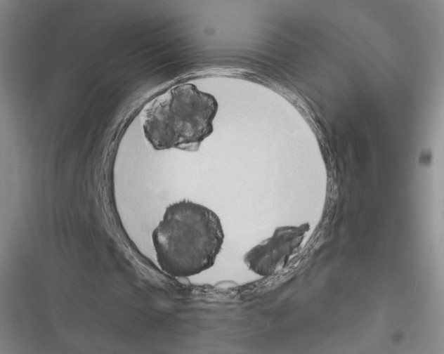 X0000116320337201001131008