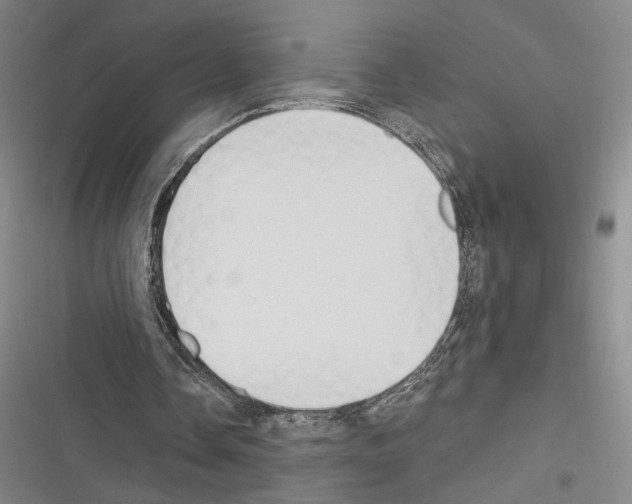 X0000116320338201001131008