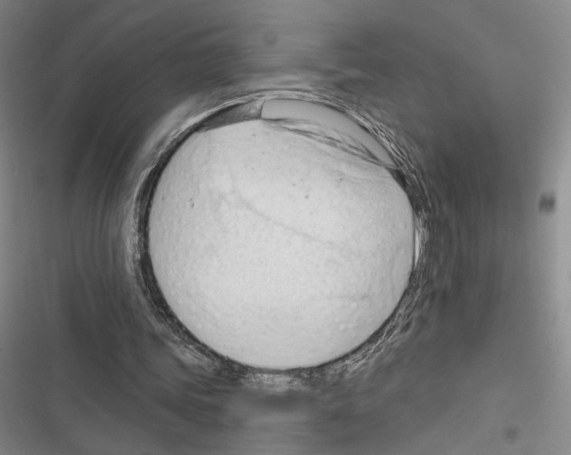 X0000116320339201001131008