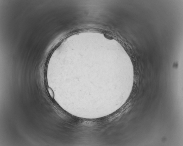 X0000116320341201001131008