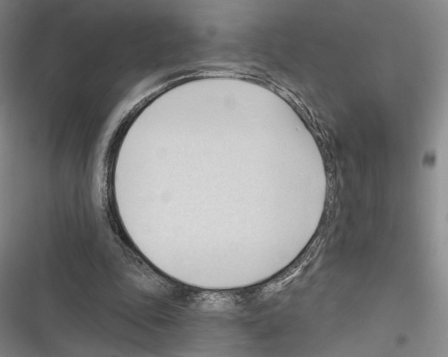 X0000116320343201001131008