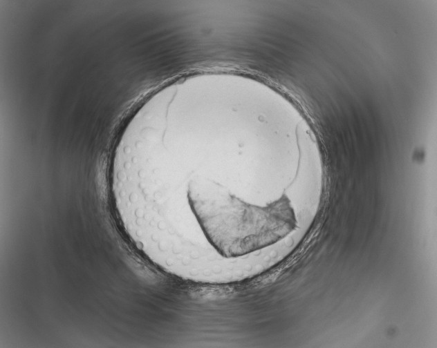 X0000116320345201001131008