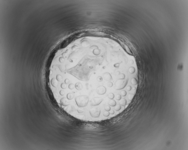 X0000116320346201001131008