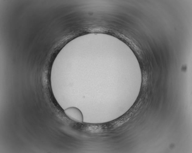 X0000116320353201001131008