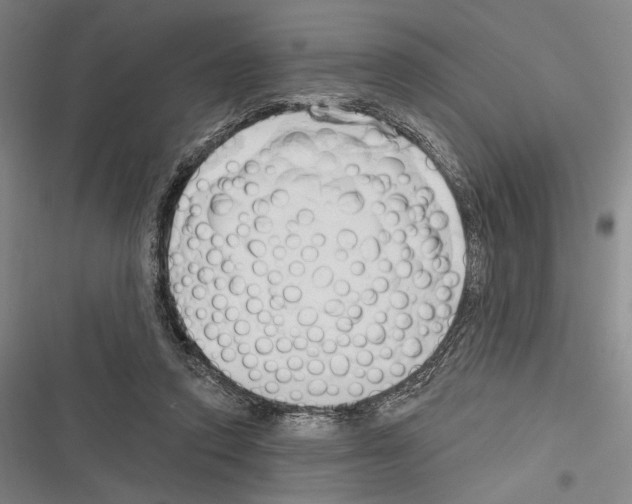 X0000116320354201001131008