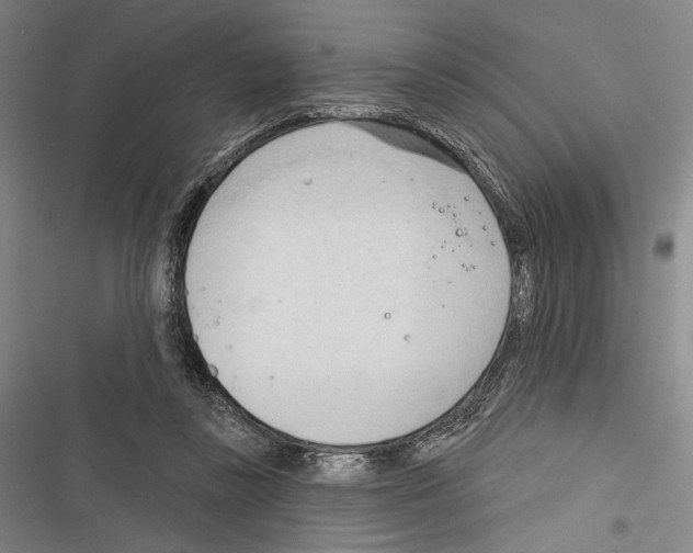 X0000116320355201001131008