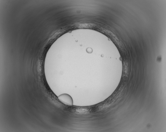 X0000116320357201001131008